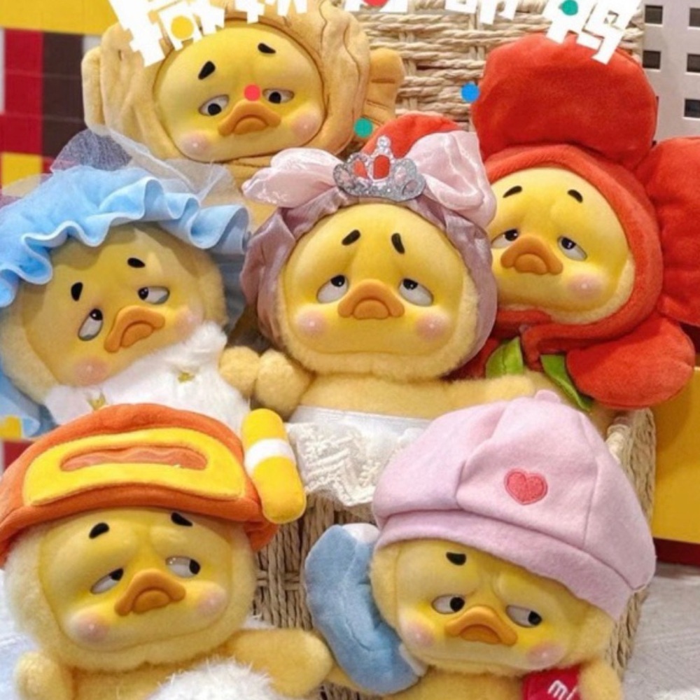 Meet your Posher, PollyLouWho